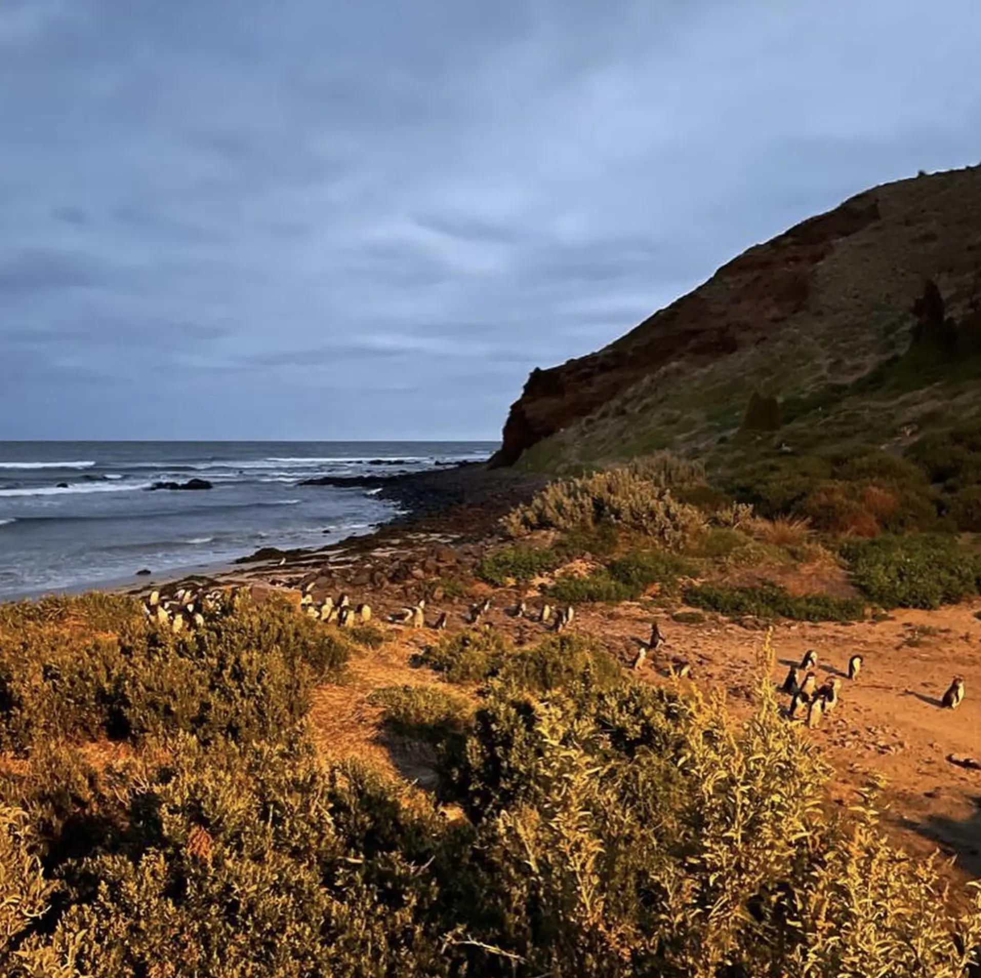 Cape Woolamai