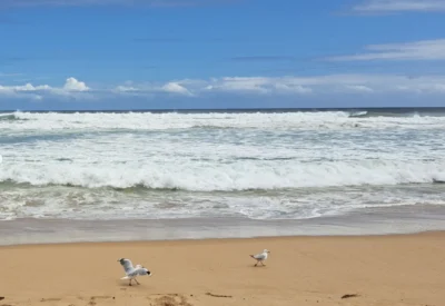 Can I swim on the Great Ocean Road?