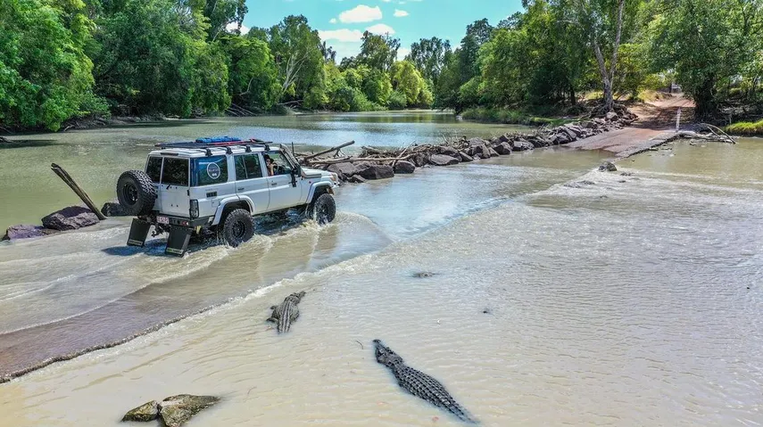 croc-infested water