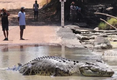Deaths at Cahills Crossing