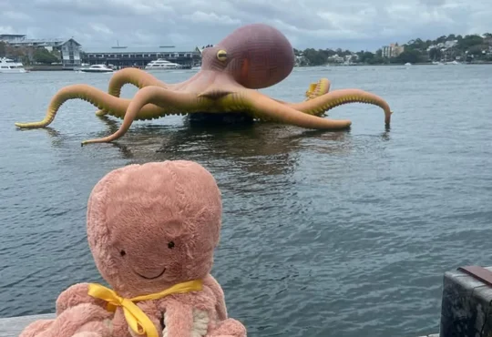 Sydney seasonal day tours
